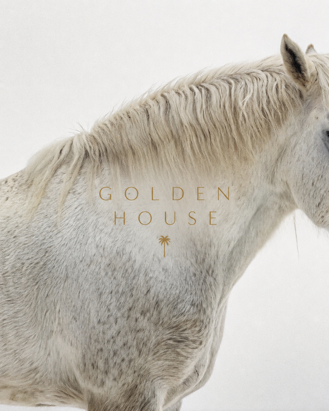 White horse with Golden House logo representing the Golden House lifestyle brand