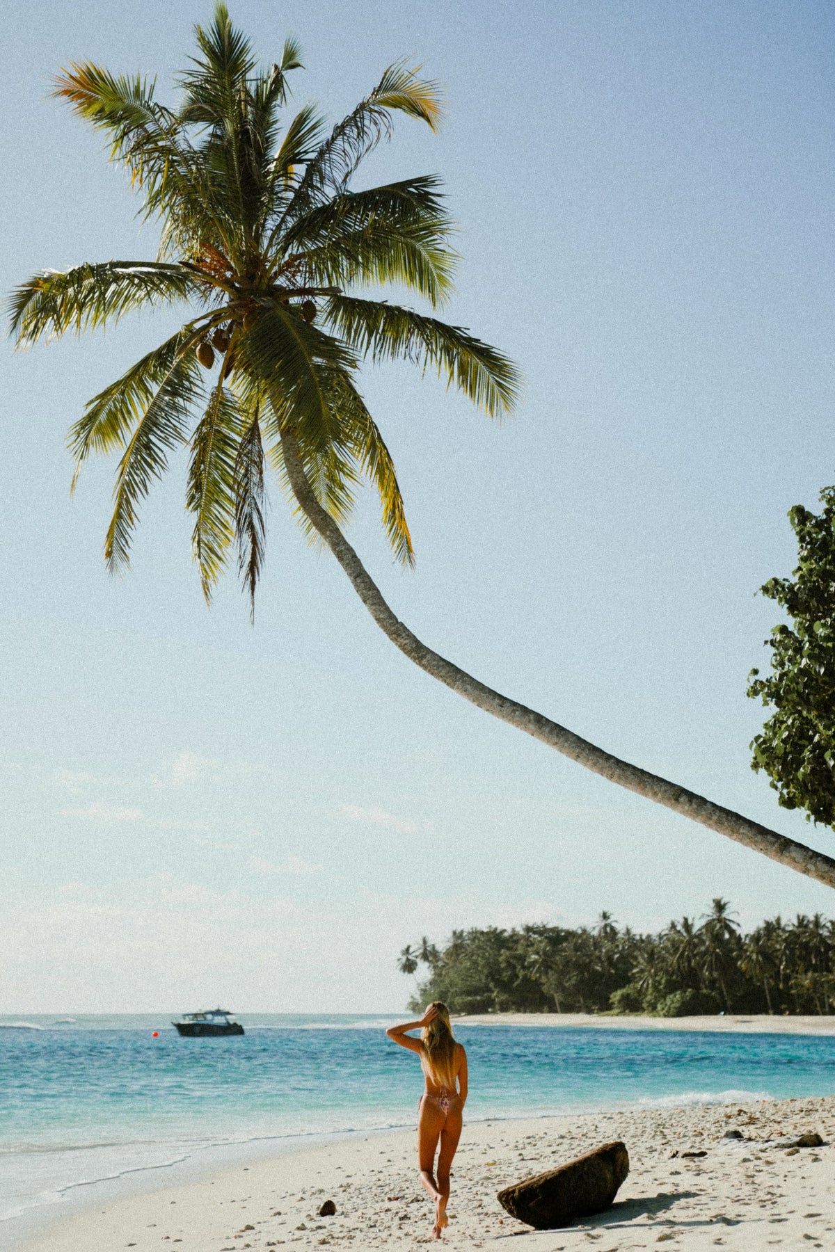 Sunlit editorial with a woman by the water beneath a sweeping palm tree